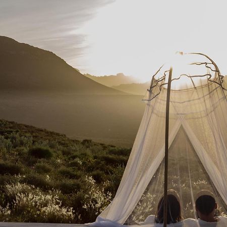 クランウィリアム Simbavati Cederberg Ridgeヴィラ エクステリア 写真