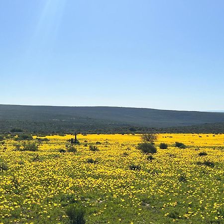 クランウィリアム Simbavati Cederberg Ridgeヴィラ エクステリア 写真