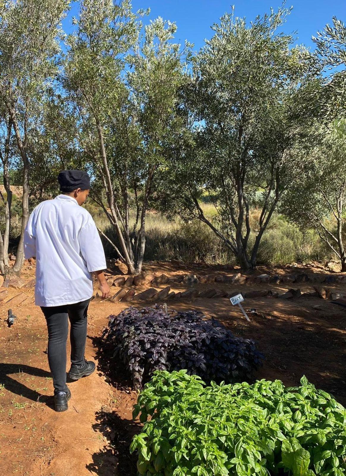 クランウィリアム Simbavati Cederberg Ridgeヴィラ エクステリア 写真