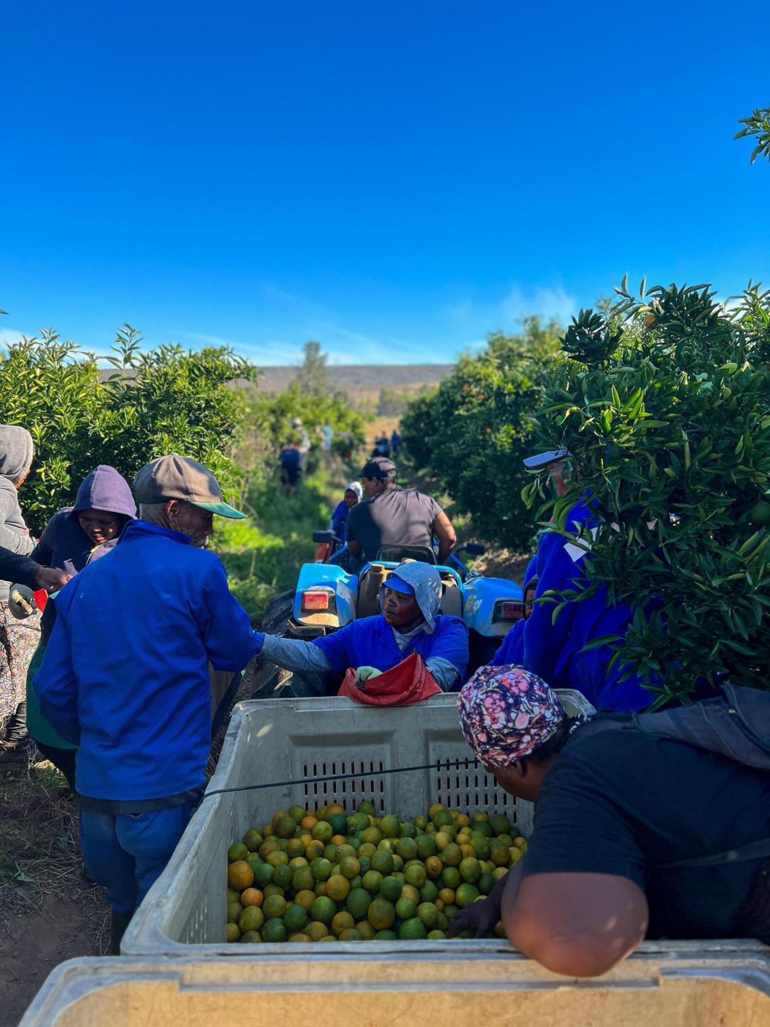クランウィリアム Simbavati Cederberg Ridgeヴィラ エクステリア 写真